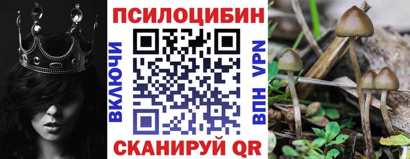 Галлюциногенные грибы мицелий  Купить  Чудово 